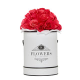 Luxury - Fresh Hot Pink Roses